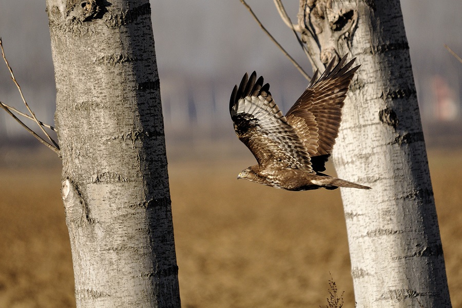 Ho voglia d''aria, esco a farmi un giro